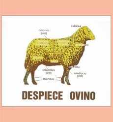 Despiece Ovino